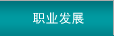 職業發展