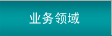 業(yè)務(wù)領(lǐng)域